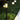 Solar garden light on grass with warm glow