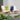 Two wooden chairs with white cushions and a blue blanket on a patio with plants around.