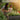 Woman and child gardening together with flowers in a raised bed on a patio.